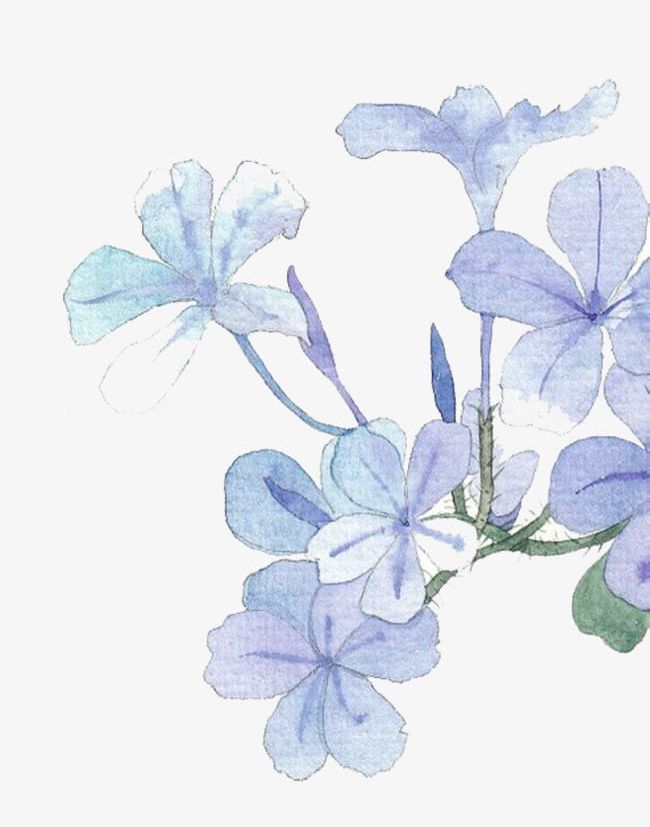 Watercolor Flowers PNG, Clipart, Autumn, Blue, Cartoon, Decorate, Flower Free PNG Download