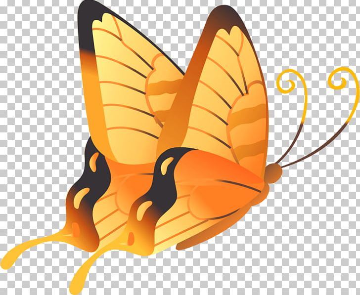 Butterfly Orange Yellow PNG, Clipart, 991, Arthropod, Brush Footed Butterfly, Butterflies And Moths, Butterfly Free PNG Download