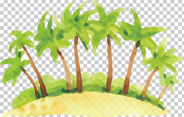 Illustration PNG, Clipart, Coconut Tree, Exquisite, Forest Vector, Fruit Nut, Grass Free PNG Download