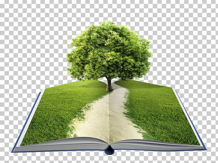 This Book Was A Tree: Ideas PNG, Clipart, Author, Book, Book Discussion Club, Grass, Library Free PNG Download