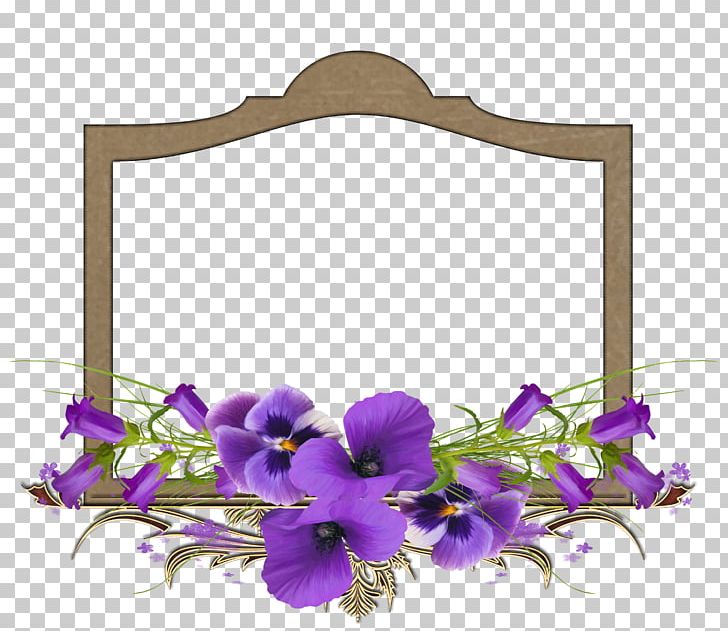 African Violets PNG, Clipart, African Violets, Blog, Clip Art, Cut Flowers, Drawing Free PNG Download