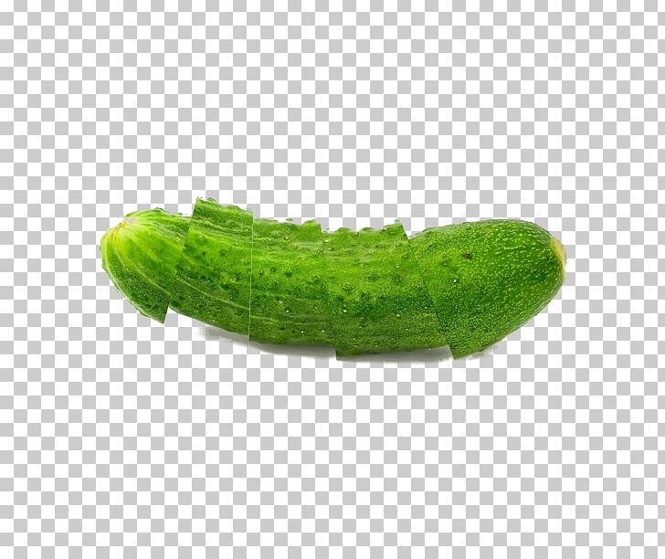 Juice Cucumber Vegetable PNG, Clipart, Caterpillar, Cuc, Cucumber, Cucumber Gourd And Melon Family, Cucumber Juice Free PNG Download