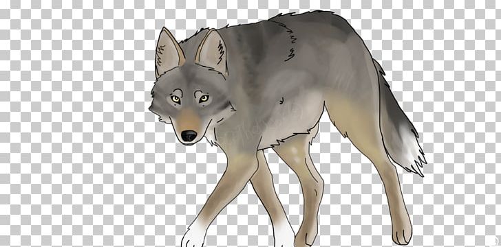 Saarloos Wolfdog Czechoslovakian Wolfdog Coyote Gray Wolf PNG, Clipart, Carnivoran, Coyote, Czechoslovakia, Czechoslovakian Wolfdog, Dog Like Mammal Free PNG Download