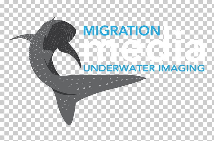 Software Testing United States System Business Immigration PNG, Clipart, Acceptance Testing, Azure, Brand, Business, Business Process Free PNG Download
