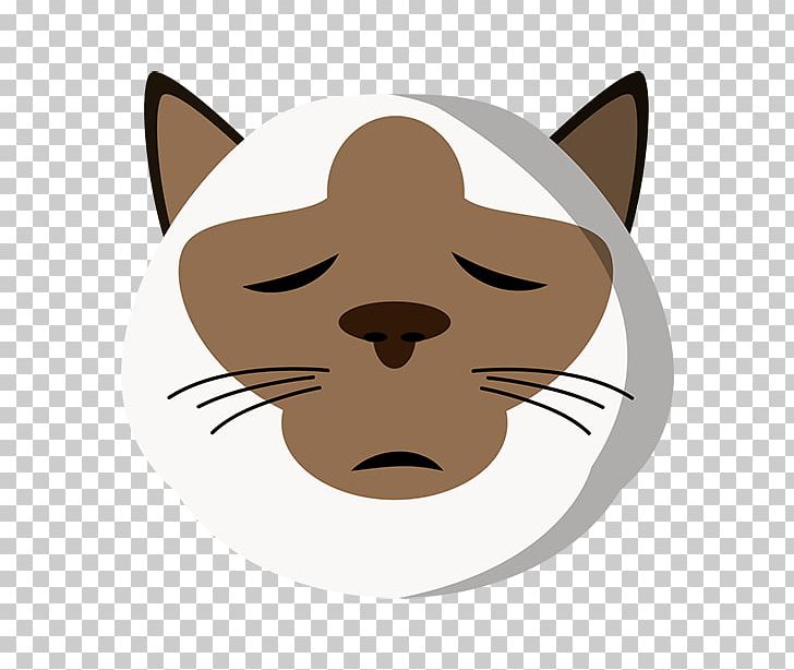 Whiskers Kitten Cat Snout Dog PNG, Clipart, Animals, Canidae, Carnivoran, Cartoon, Cat Free PNG Download