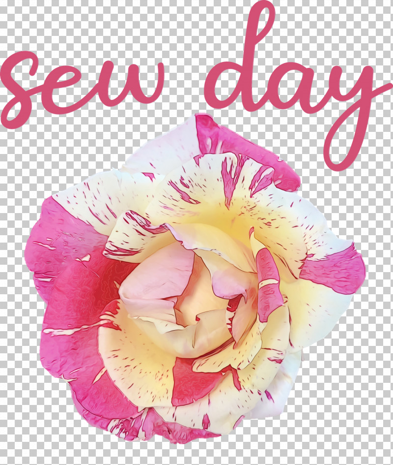 Flower Bouquet PNG, Clipart, Biology, Cut Flowers, Flower, Flower Bouquet, Meter Free PNG Download