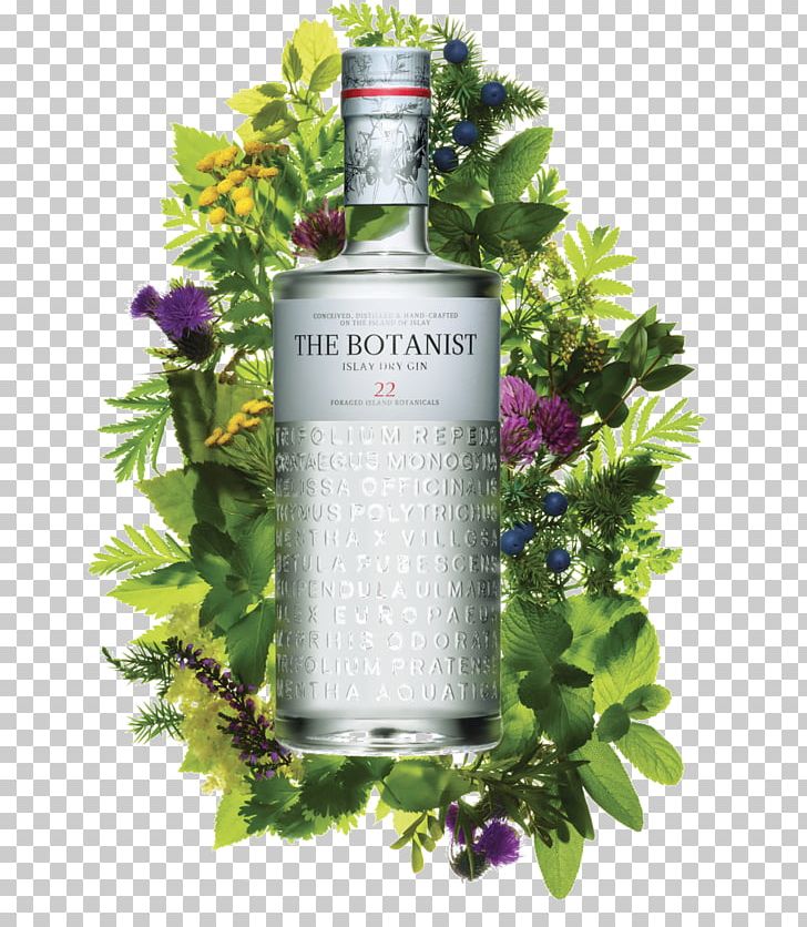 Islay The Botanist Gin Liquor Whiskey PNG, Clipart, Alcohol By Volume, Alcoholic Beverage, Botanicals, Botanist, Cocktail Free PNG Download