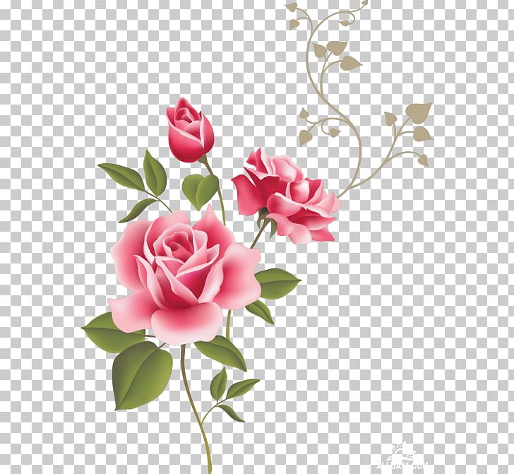 Wall Decal Rose Flower Gift PNG, Clipart, Art, Blossom, Branch, Cut Flowers, Decal Free PNG Download