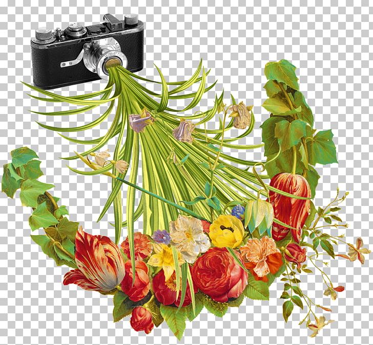 Photography Camera Flower Illustration PNG, Clipart, Art, Camera, Contemporary Art, Creative, Creative Illustration Free PNG Download