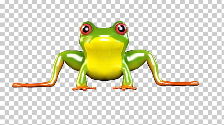 True Frog Tree Frog Toad PNG, Clipart, Amphibian, Animals, Frog, Organism, Ranidae Free PNG Download