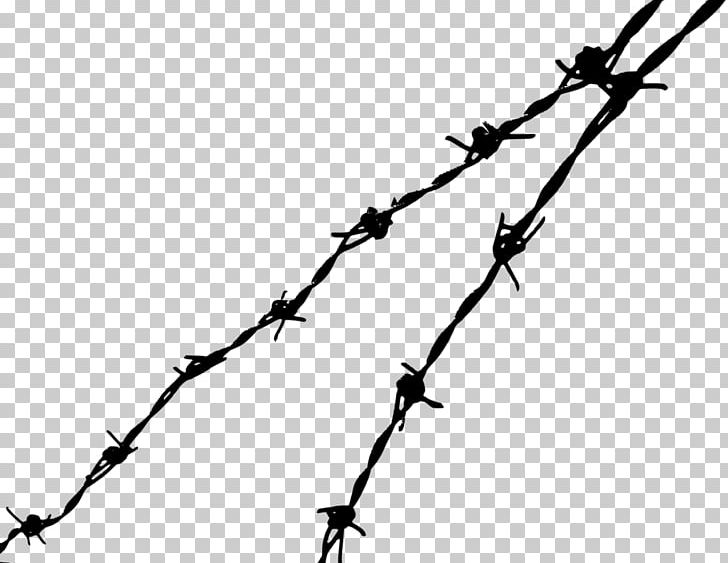 Barbed Wire PNG, Clipart, Barbed Tape, Barbed Wire, Black And White, Branch, Chicken Wire Free PNG Download
