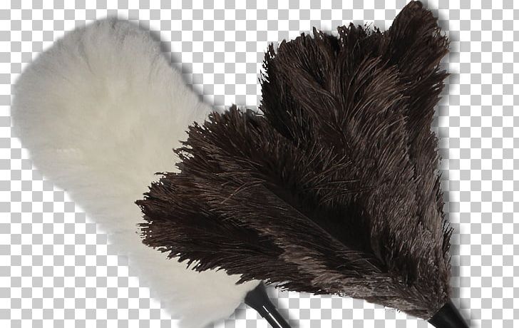 Dammtorkning Alta Feather Duster Pharmaceutical Drug PNG, Clipart, Adverse Drug Reaction, Alta, Common Ostrich, Dammtorkning, Dust Free PNG Download