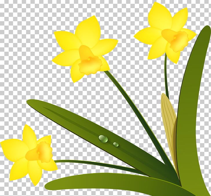 Narcissus Long Island Iced Tea LiveInternet Petal PNG, Clipart, Amaryllis Family, Flora, Flower, Flowering Plant, Liveinternet Free PNG Download