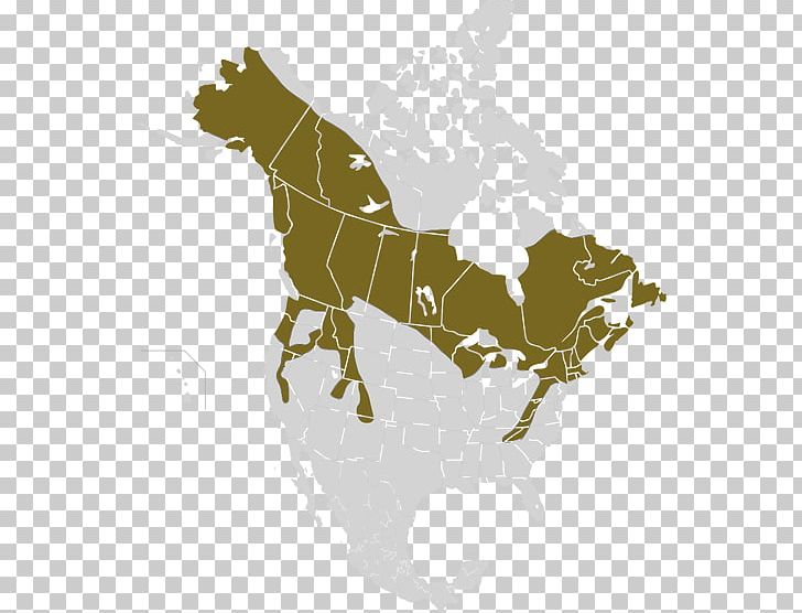 Snowshoe Hare American Black Bear Map Rabbit PNG, Clipart, American Black Bear, Arctic Hare, Atlas, Bear, Canada Lynx Free PNG Download