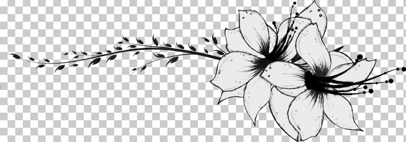 Black-and-white Plant Flower Petal Wildflower PNG, Clipart, Blackandwhite, Floral Line, Flower, Flower Background, Flower Border Free PNG Download