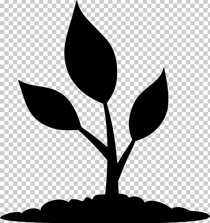 Environment Computer Icons Nature PNG, Clipart, Artwork, Black And White, Branch, Chunk, Ecology Free PNG Download
