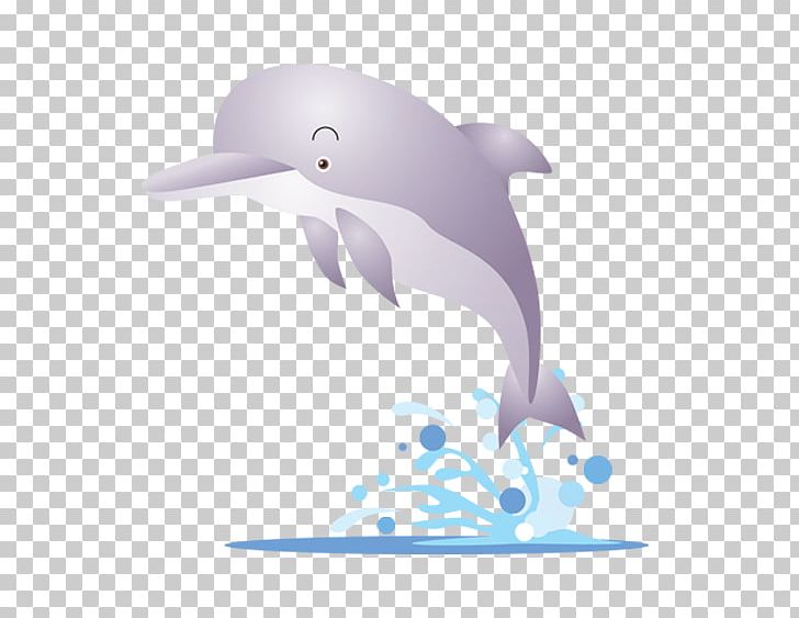 Karadag Dolphinarium PNG, Clipart, Amusement, Amusement Park, Animals, Computer Wallpaper, Dolphins Free PNG Download