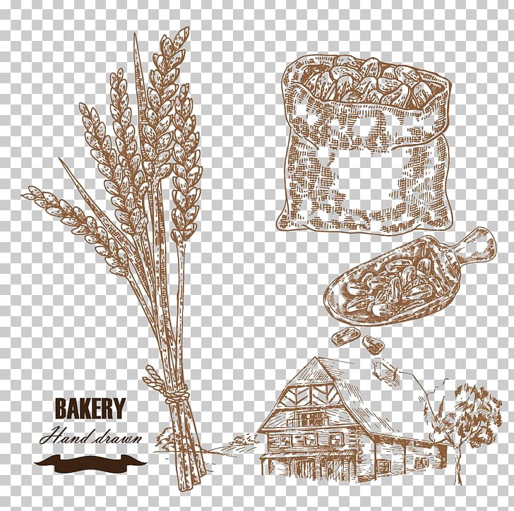 Drawing Wheat Cereal Illustration PNG, Clipart, Bag, Barley, Body Jewelry, Cereal, Drawing Free PNG Download