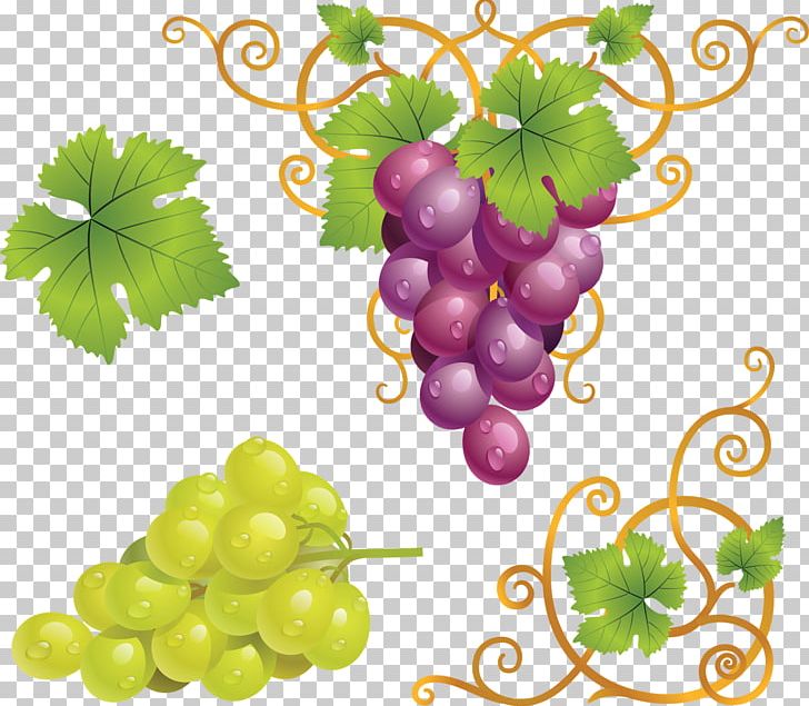 Red Wine Grape PNG, Clipart, Bottle, Clip Art, Flowering Plant, Food, Food Drinks Free PNG Download
