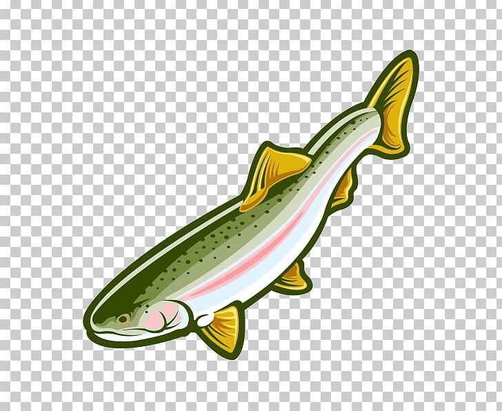 Salmon Rainbow Trout Fish PNG, Clipart, Animals, Aquatic Animal, Bony Fish, Fauna, Fin Free PNG Download
