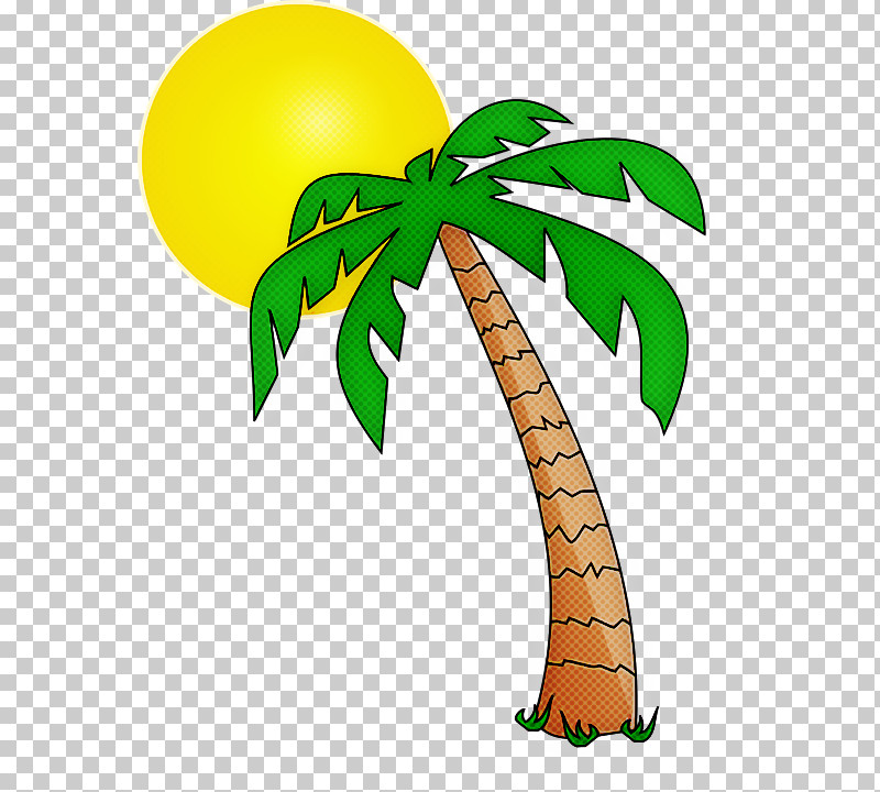 Palm Trees PNG, Clipart, Beach, Cartoon, Coconut, Palm Trees, Palm Trees Beach Free PNG Download
