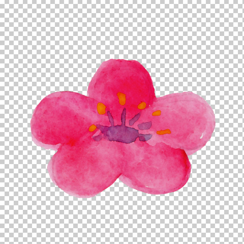 Pink Petal Flower Plant Impatiens PNG, Clipart, Blossom, Flower, Impatiens, Magenta, Paint Free PNG Download