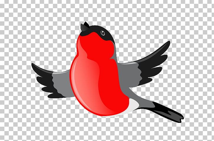 Bird Drawing Beak PNG, Clipart, Aile, Animals, Beak, Bird, Cartoon Free PNG Download