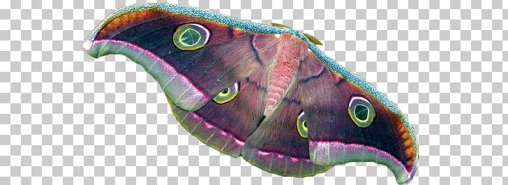 Butterfly Moth Silkworm Tussar Silk PNG, Clipart, Biology, Butterflies And Moths, Butterfly, Com, Fish Free PNG Download