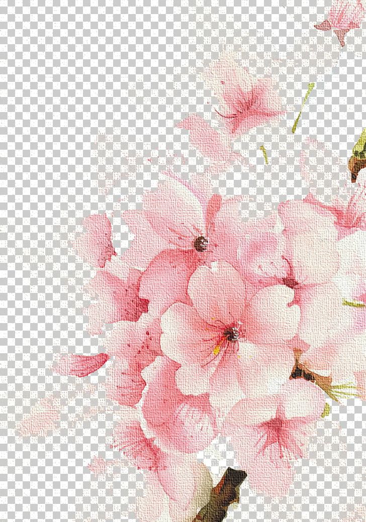 Watercolour Flowers Watercolor: Flowers Watercolor Painting Drawing PNG, Clipart, Blossom, Blossoms, Branch, Cherry, Cherry Blossom Free PNG Download