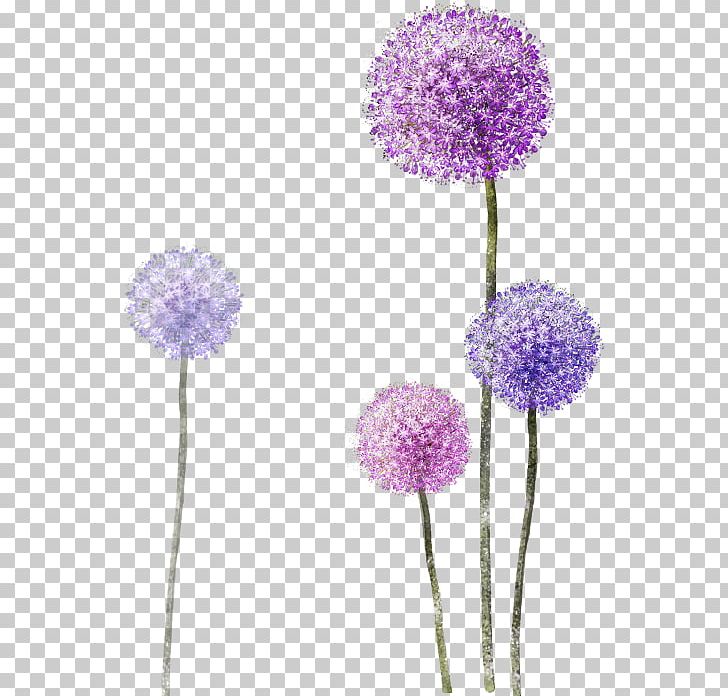 Drawing Common Dandelion Tattoo PNG, Clipart, Abziehtattoo, Art, Common Dandelion, Dandelion, Drawing Free PNG Download