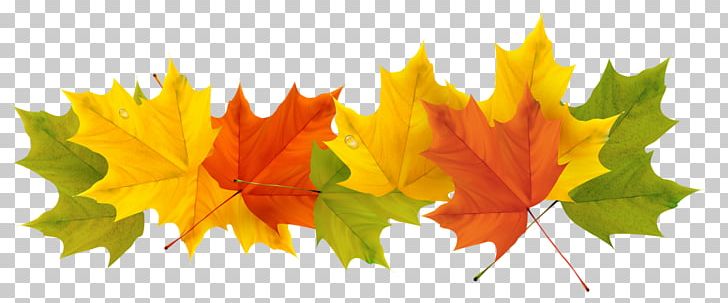 Spain Weather Season Spanish Winter PNG, Clipart, Autumn, Autumn Leaf Color, Clipart, Color, Description Free PNG Download
