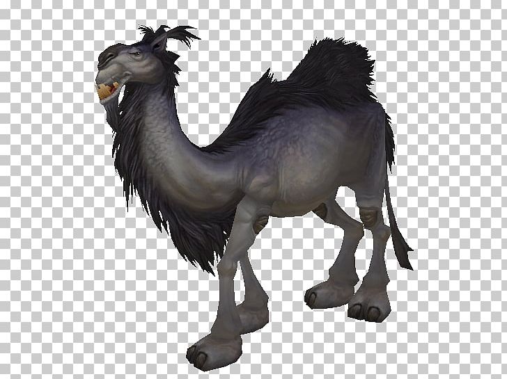 Dromedary World Of Warcraft: Battle For Azeroth Massively Multiplayer Online Game Grey Horse Tack PNG, Clipart, Animal, Arabian Camel, Australian Feral Camel, Azeroth, Camel Free PNG Download