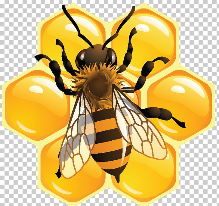 Bee Pollen Honeycomb Beekeeping PNG, Clipart, Apiary, Arthropod, Bee, Beeswax, Honey Free PNG Download