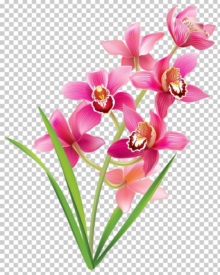 free clipart of orchids