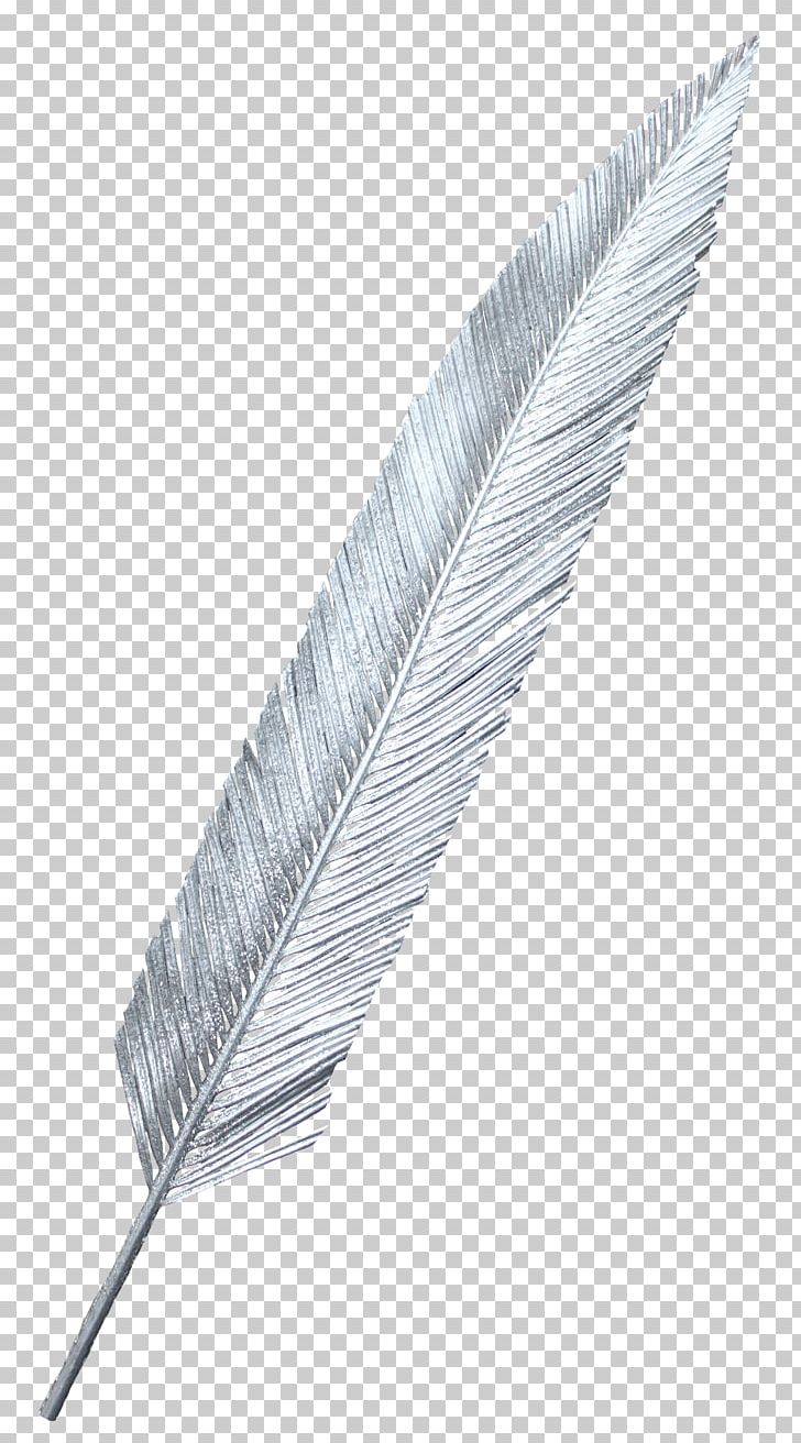 White Feather PNG, Clipart, Adobe Illustrator, Angle, Animals, Background White, Black White Free PNG Download
