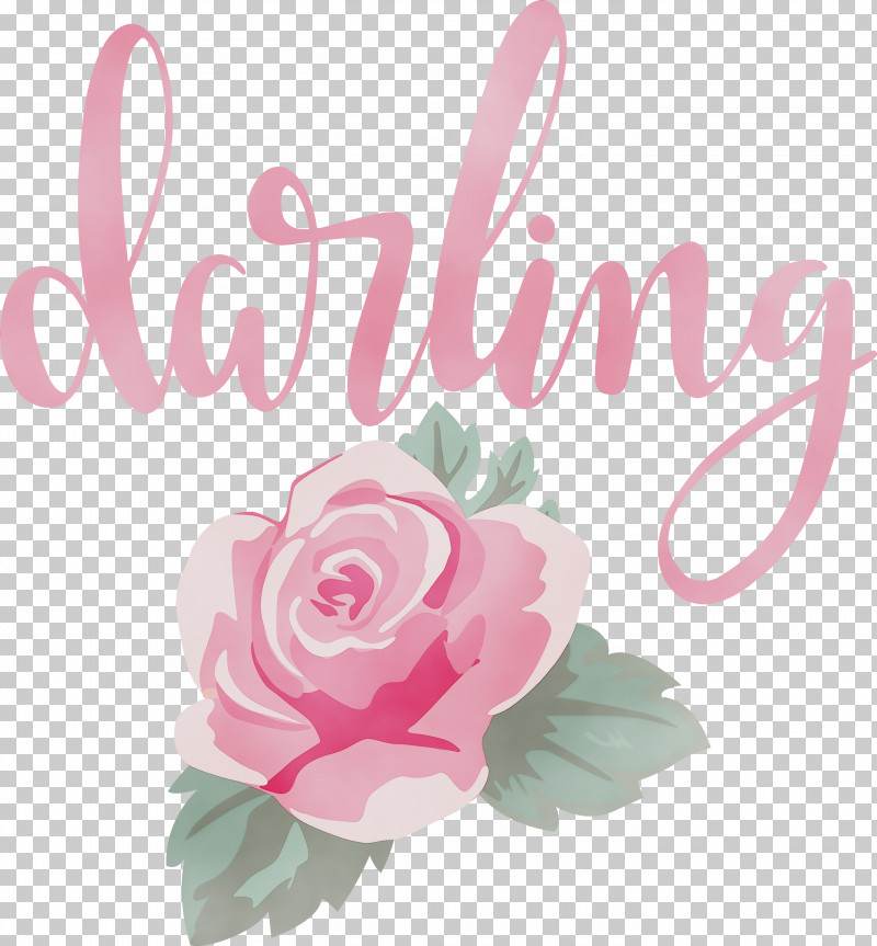 Floral Design PNG, Clipart, Cabbage Rose, Cut Flowers, Darling, Floral Design, Flower Free PNG Download