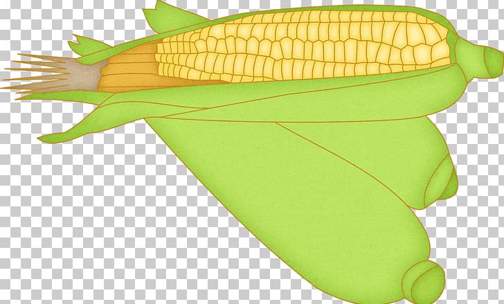 Corn On The Cob Food Vegetable PNG, Clipart, Commodity, Corn On The Cob, Festa, Fiesta, Food Free PNG Download