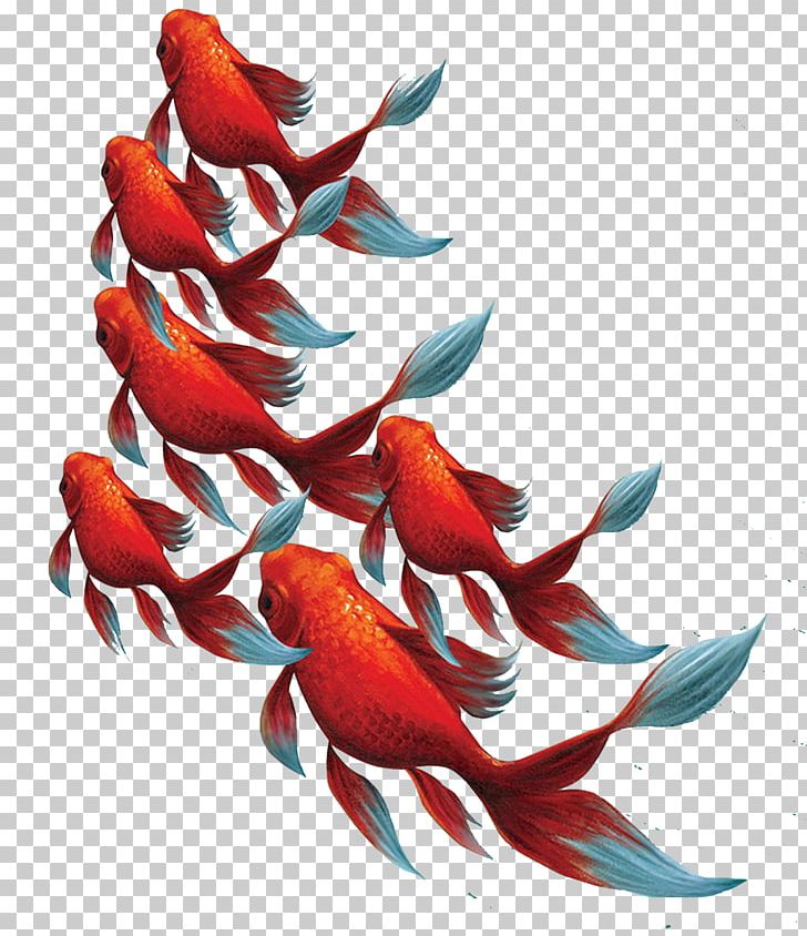 Koi Goldfish Paper Aquarium Business Card PNG, Clipart, Animal, Beak, Bird, Boys Swimming, Feather Free PNG Download