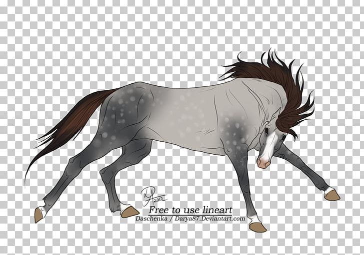 Mustang Stallion Foal Mare Colt PNG, Clipart, Bridle, Colt, Foal, Halter, Has Been Sold Free PNG Download