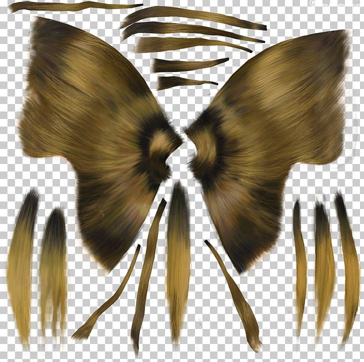 Butterfly Insect Moth Pollinator Wing PNG, Clipart, 9 K, Animal, Arthropod, Butterflies And Moths, Butterfly Free PNG Download