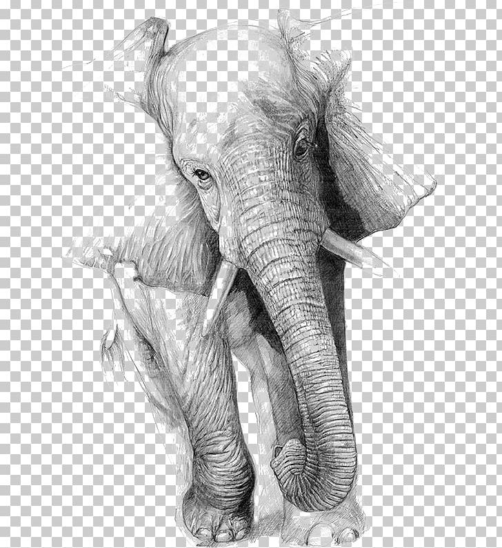 Drawing Elephant Art Pencil Sketch PNG, Clipart, African Elephant, Animal, Animals, Baby Elephant, Black Free PNG Download