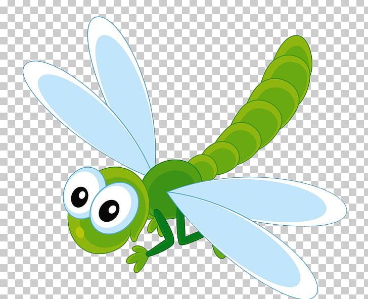 Insect Drawing PNG, Clipart, Animals, Butterfly, Cartoon, Dragonfly, Drawing Free PNG Download