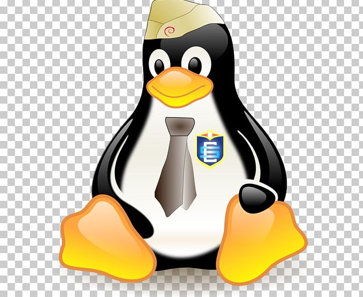 Vertebrate Bird Linux PNG, Clipart, Beak, Bird, Computer Icons, Download, Flightless Bird Free PNG Download