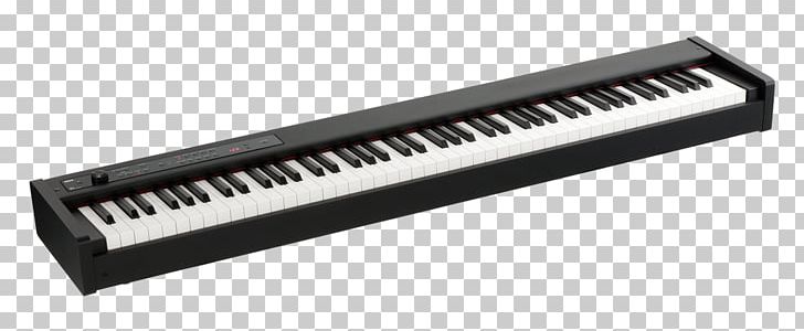 Stage Piano Digital Piano Korg Key PNG, Clipart, Action, Digital Piano, Electric Piano, Electronic Instrument, Electronic Keyboard Free PNG Download