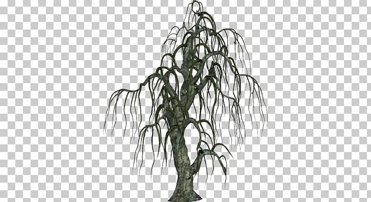 Tree PNG, Clipart, Black And White, Branch, Download, Drawing, Flora Free PNG Download