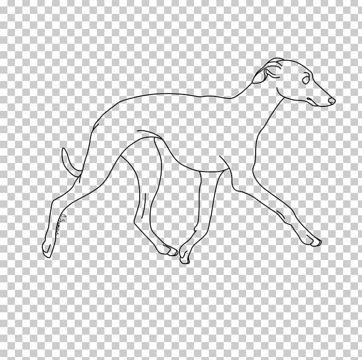 Whippet Italian Greyhound Line Art Dog Breed Drawing PNG, Clipart, Art, Artist, Artwork, Black And White, Canaan Dog Free PNG Download