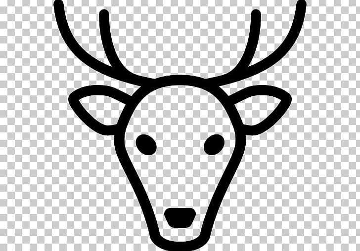 White-tailed Deer Computer Icons Moose PNG, Clipart, Animal, Animals, Antler, Black And White, Computer Icons Free PNG Download
