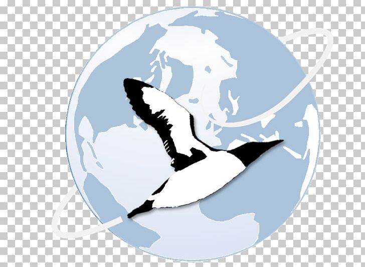 Marine Mammal Seabird Ocean PNG, Clipart, Beak, Fish, Logo, Mammal, Marine Mammal Free PNG Download
