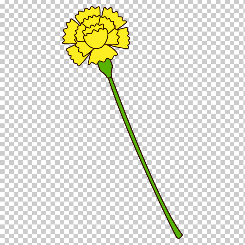 Carnation Flower PNG, Clipart, Carnation, Dandelion, Flower, Plant, Plant Stem Free PNG Download