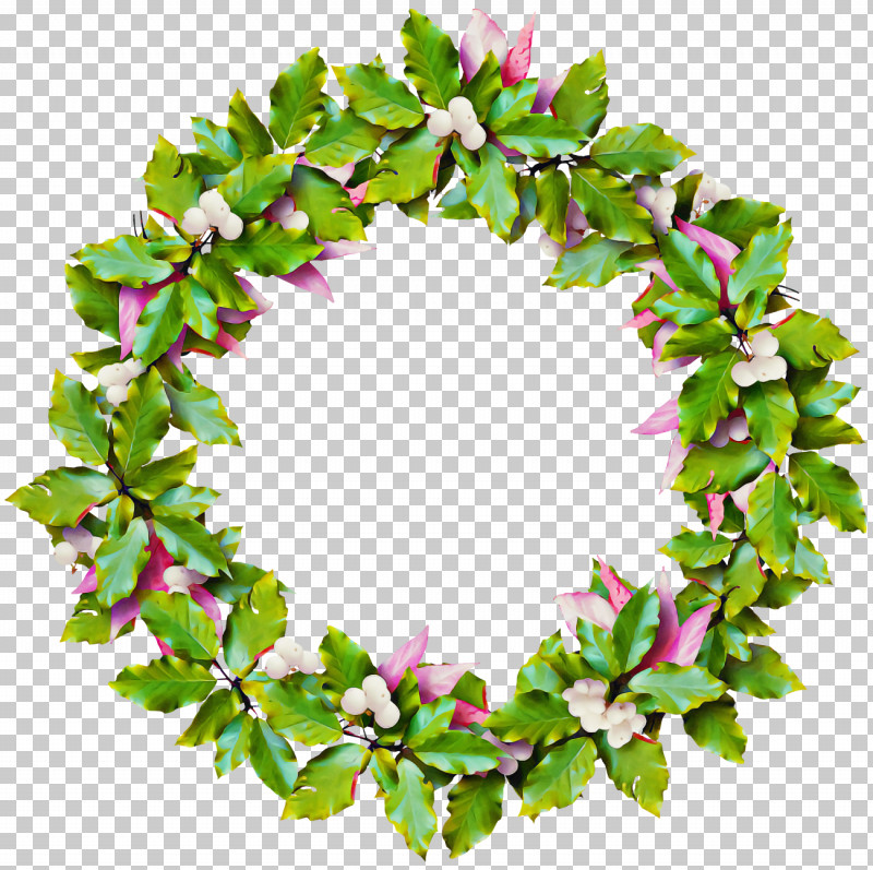 Christmas Holly Ilex Holly PNG, Clipart, Branch, Christmas, Christmas Decoration, Christmas Holly, Flower Free PNG Download